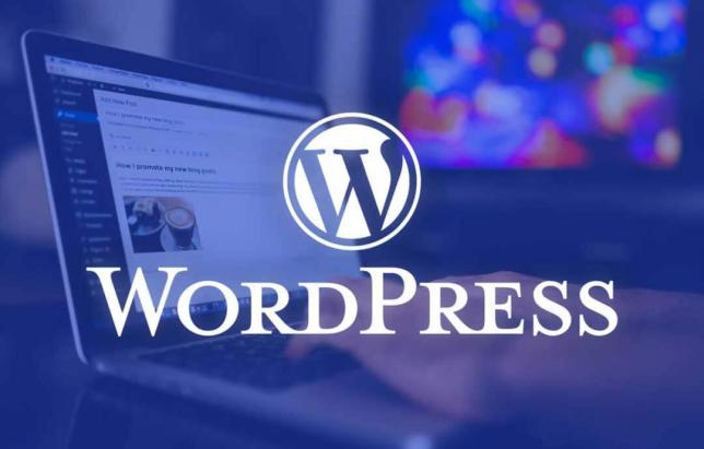 Özel Yazılım vs. WordPress: Hangi Seçim Size Uygun?